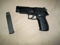 P226-2.jpg