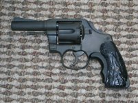 shortcolt1.jpg