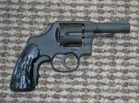 shortcolt2.jpg