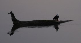 DSC_00821.jpg