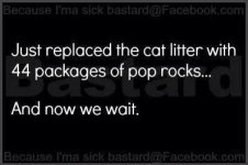 cat litter poprocks.jpg