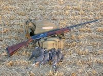 Dove 01-800.jpg