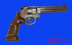 With Iron Sights.jpg
