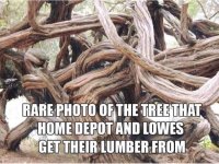Lowes Lumber.jpg