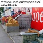 lion.jpg