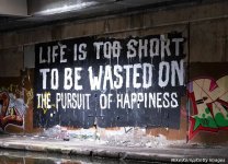 The pursuit of happiness.jpg