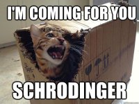 cat3.jpg