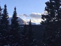 C65BD43F-91D1-41F8-93C1-29A1D6FA19D5.jpg