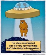 bear.jpg