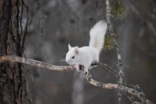 Resized_DSC_1351.jpg