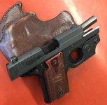 delinted P938 IMG_0548.jpg