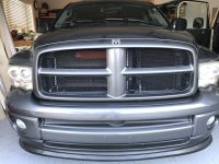 IMG_1519.jpg