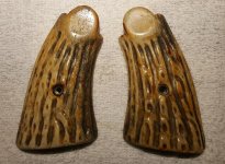 Gila's Jigged Bone N-a.jpg