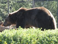 Sommertrip 2011 111.jpg