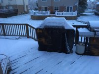 IMG_0779.jpg