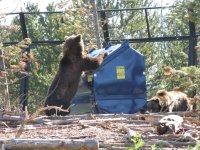 Sommertrip 2011 115.jpg