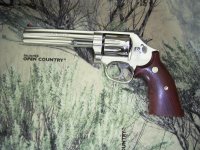 Smith & Wesson 617-6 001.jpg
