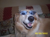 Picture_0239.jpg