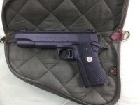 colt 2.jpg