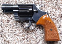 Colt_DS_1.jpg