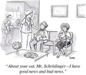 Schrödinger's cat at the vet.jpeg