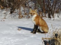 IMG_0561.jpg