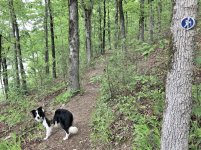 2021-05-11 Daisy 05.jpg