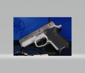 S&W 4013 TSW.jpg