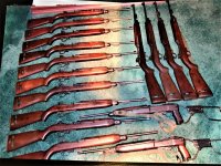 Carbines1.jpg