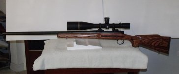 Remington 700 VLS-b.jpg