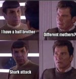 SPOCKKIRK.jpg