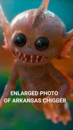 Chigger.jpg