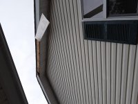 20210706_175537.jpg