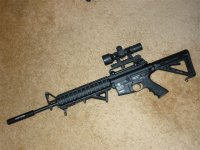 GUN_D.JPG