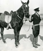 Horses.06.jpg