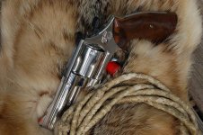 Revolvers 003.jpg