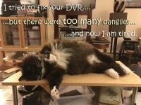 Too many danglies copy.JPG