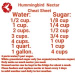 Hummingbird Food 01.jpg