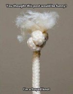 knot.jpeg