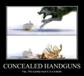 CCW.jpg