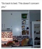 cats.jpg