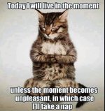 Living in the moment.jpg