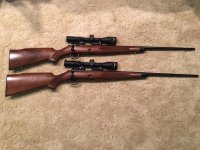 Both Browing 52.jpg