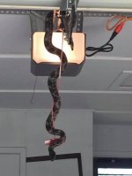 Garage door snake.jpg