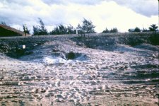 Unexploded rocket-FEB68_0010.jpg