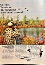 Winduckshooting.jpg