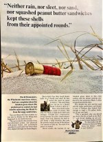 Winshotshells.jpg