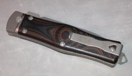 cobra4.jpg