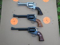 ruger 44s.jpg
