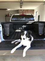 2020-11-16 Daisy.jpg